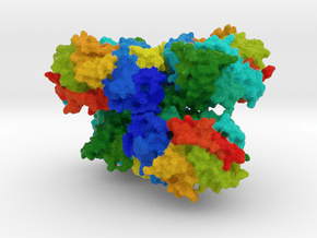 CYP3A4 Protein in Natural Full Color Sandstone