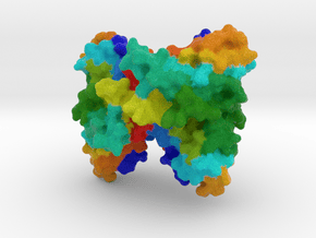 Cytotoxic T Lymphocyte-Associated Protein 4 CTLA4 in Natural Full Color Sandstone