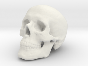 Skull Scientific 44 mm in White Premium Versatile Plastic