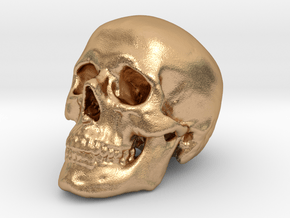 Skull Scientific 44 mm in Natural Bronze