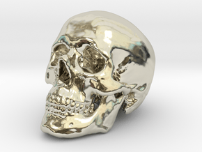 Skull Scientific 44 mm in 14k White Gold