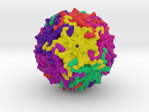 Parvovirus B19 in Natural Full Color Sandstone