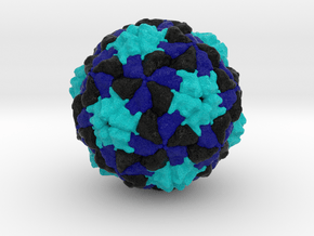 Aichivirus A in Natural Full Color Sandstone
