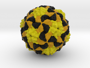 Aichivirus A in Natural Full Color Sandstone