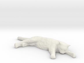 1/24 G Scale Sleepy Cat in White Natural Versatile Plastic