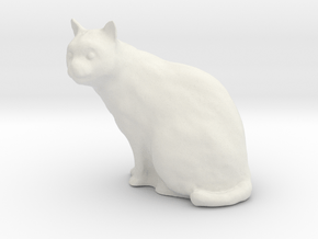 1/24 G Scale Cat Sitting in White Natural Versatile Plastic
