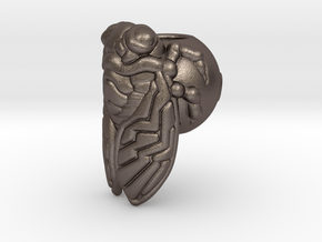 Cicada_14mm in Polished Bronzed-Silver Steel