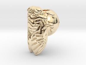Cicada_14mm in 14K Yellow Gold