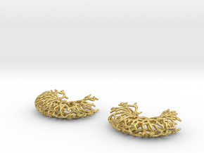 Vessel Earrings - 1 pair in Polished Brass