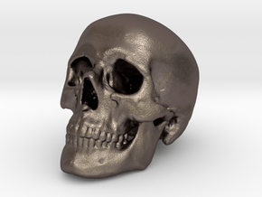 Skull Scientific 62mm in Polished Bronzed-Silver Steel