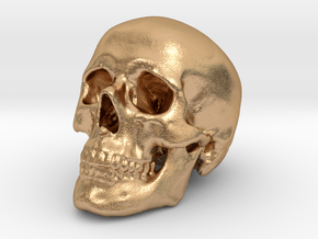 Skull Scientific 62mm in Natural Bronze