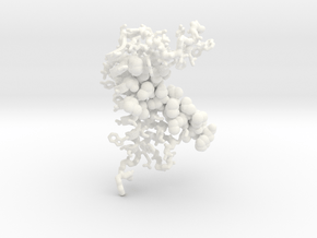 Lipoprotein signal peptidase II in White Processed Versatile Plastic