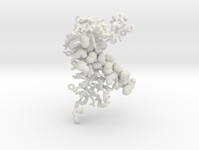 Lipoprotein signal peptidase II in White Premium Versatile Plastic