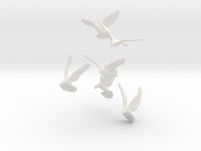 1/24 (G Scale) Doves X6 for Diorama in White Natural Versatile Plastic