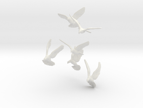 1/12 Doves for Diorama in White Natural Versatile Plastic