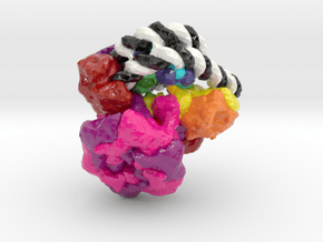 Chromatin Remodeler Nucleosome Complex (Large) in Glossy Full Color Sandstone