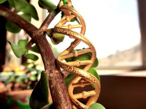 DNA Necklace in Polished Gold Steel
