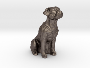 Boxer dog in Polished Bronzed-Silver Steel