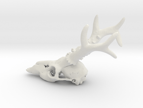 Deer head skull in White Natural Versatile Plastic