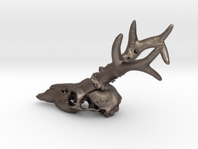 Deer head skull in Polished Bronzed-Silver Steel