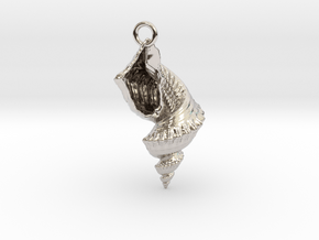 Shell Pendant in Rhodium Plated Brass