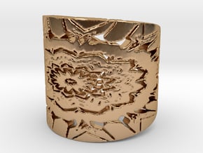 Native flower shield Ring in Polished Bronze: 6 / 51.5
