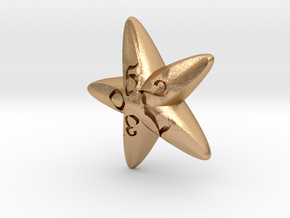 Starfish d10 in Natural Bronze