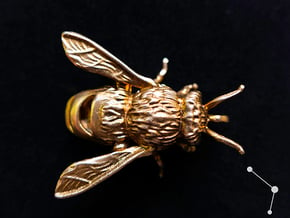 Honey Bee - Pendant - Vessels in Natural Bronze