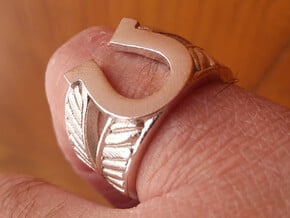 Horseshoe Ring - Size US 8.5 in Polished Silver