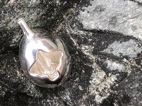 Fox Hollow - Pendant - Orphic Eggs in Polished Silver