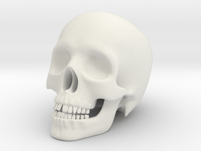 Human Skull (Medium Size-10cm Tall) in White Natural Versatile Plastic