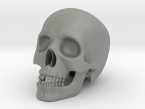 Human Skull (Medium Size-10cm Tall) in Gray PA12