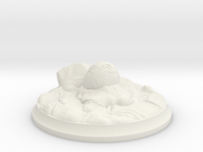 Fire Dragon Egg - 40 mm Base for Tabletop Games in White Natural Versatile Plastic