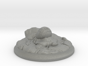 Fire Dragon Egg - 40 mm Base for Tabletop Games in Gray PA12