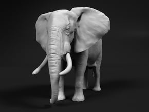 African Bush Elephant 1:28 Standing Male in White Natural Versatile Plastic
