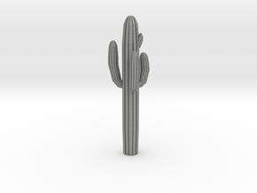 S Scale Saguaro Cactus in Gray PA12