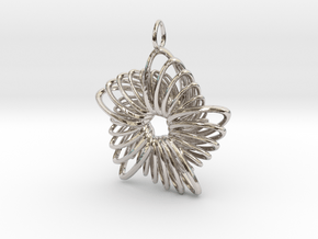 5 Point Nautilus Rings - 4cm in Rhodium Plated Brass