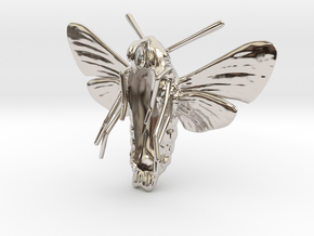 Hummingbird Hawk-Moth Pendant (hollow version) in Rhodium Plated Brass