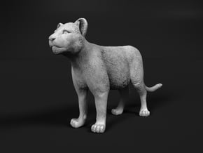 Lion 1:15 Standing Cub in White Natural Versatile Plastic