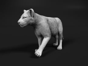 Lion 1:15 Walking Cub in White Natural Versatile Plastic