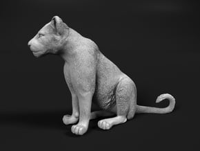 Lion 1:12 Sitting Cub in White Natural Versatile Plastic