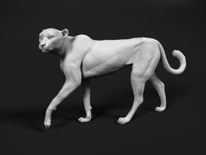 Cheetah 1:9 Walking Female 3 in White Natural Versatile Plastic