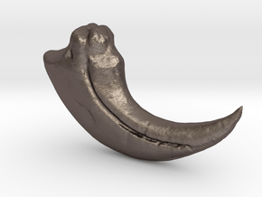 Baryonyx Claw in Polished Bronzed-Silver Steel