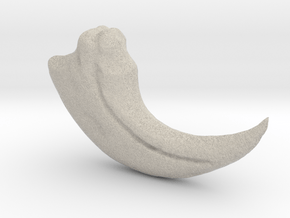 Baryonyx Claw in Natural Sandstone