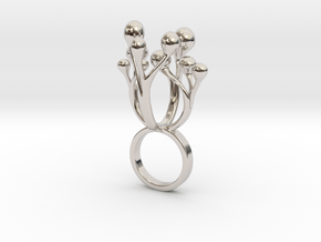 Colimo in Rhodium Plated Brass