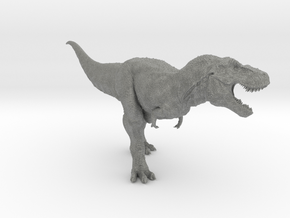Tyrannosaurus Rex 2015 - 1/100 in Gray PA12