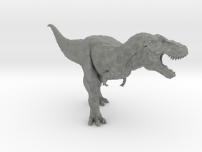 Tyrannosaurus Rex 2015 - 1/40 in Gray PA12