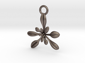 Arabidopsis Ornament - Science Gift in Polished Bronzed-Silver Steel