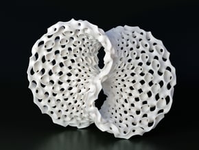 Seifert Surface Sculpture in White Natural Versatile Plastic
