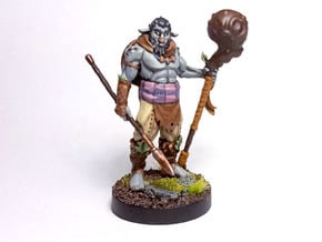 Firbolg Druid in Tan Fine Detail Plastic